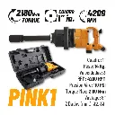 fi pink1.webp