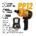 fi pp12.webp