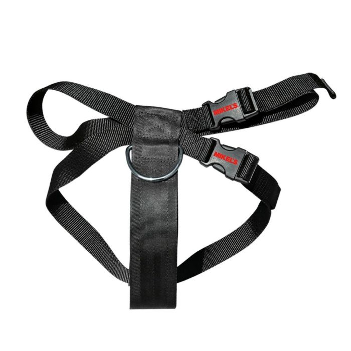 Cinturón de seguridad para mascotas